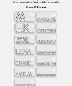 variant:iPhone 13 Pro Max