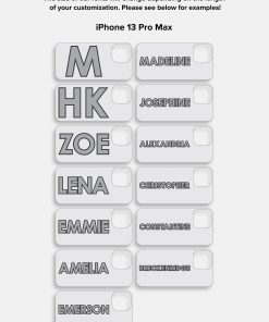 variant:iPhone 13 Pro Max